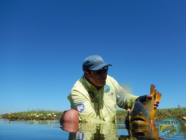 PIRA LODGE - Pantanal Argentino - Temporada 2.016